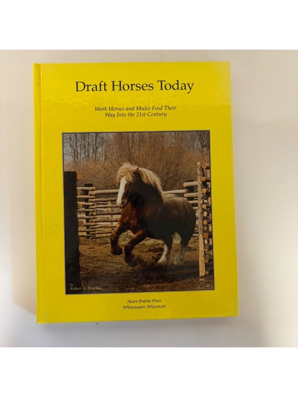 Draft Horses Today Robert A Mischka Hardcover 1992 Equestrian Reference Book